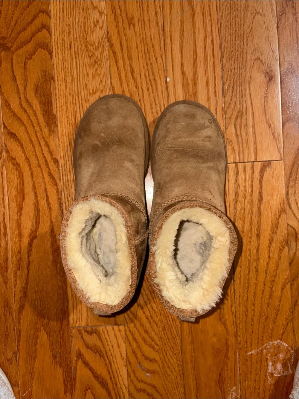 UGG  Mini Shearling Boots - Chestnut Suede